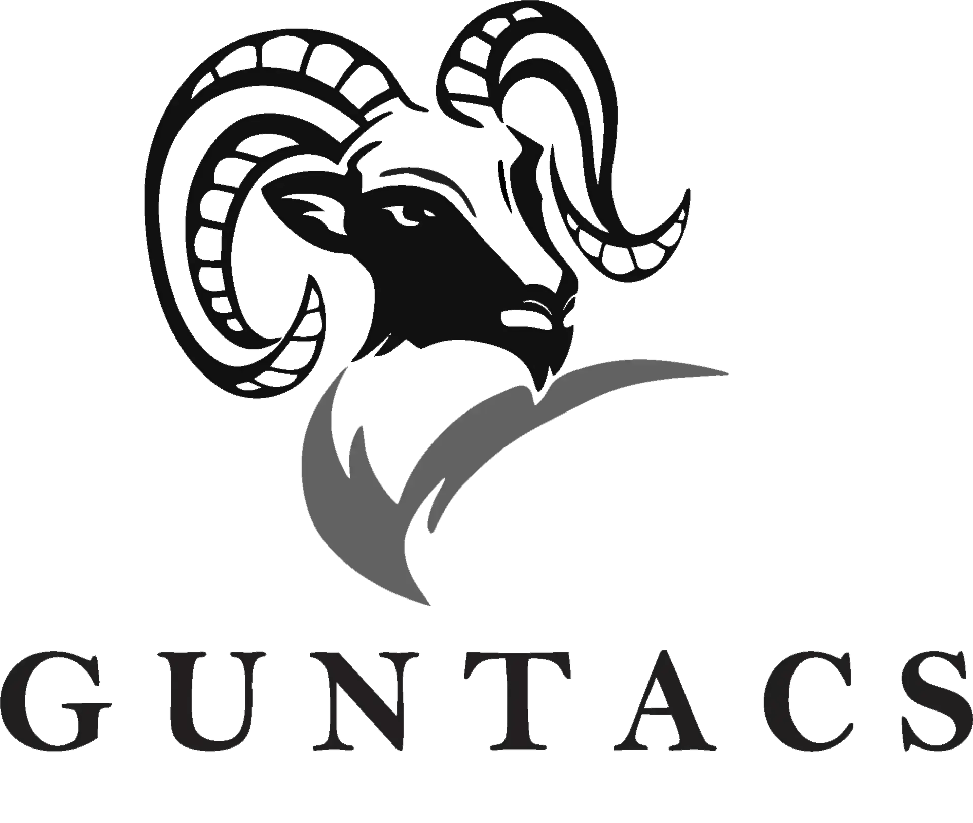 Guntacs